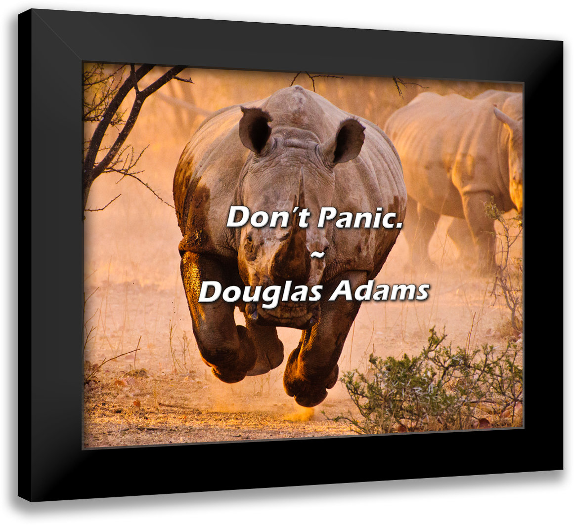 Trinx Douglas Adams Quote: Don’t Panic. | Wayfair