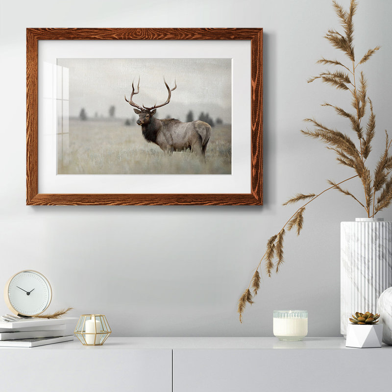 " Grand Elk ", Maple