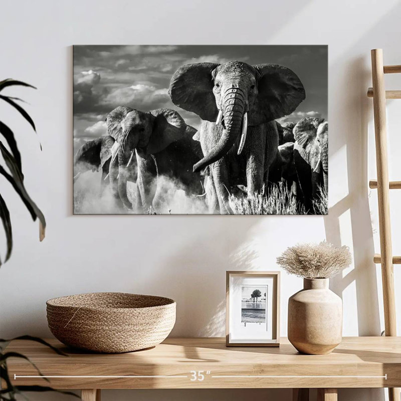 Éléphant Brampt, mars, coucher de soleil, H 16 po x l 24 po