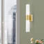 Cailum 2 Light Frosted Dimmable Vanity Light-2124124861