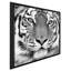 Tigre par Photoinc Studio - photographie-1487011644-1487011645