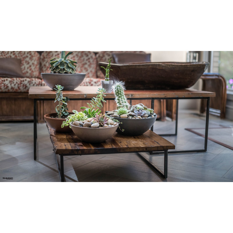 Ensemble de pots à fleurs en composite Cara, Anthracite, H 4,75 po x l 12 po x P 12 po