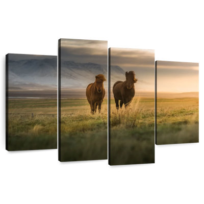 Brampt Wandering Icelandic Horses