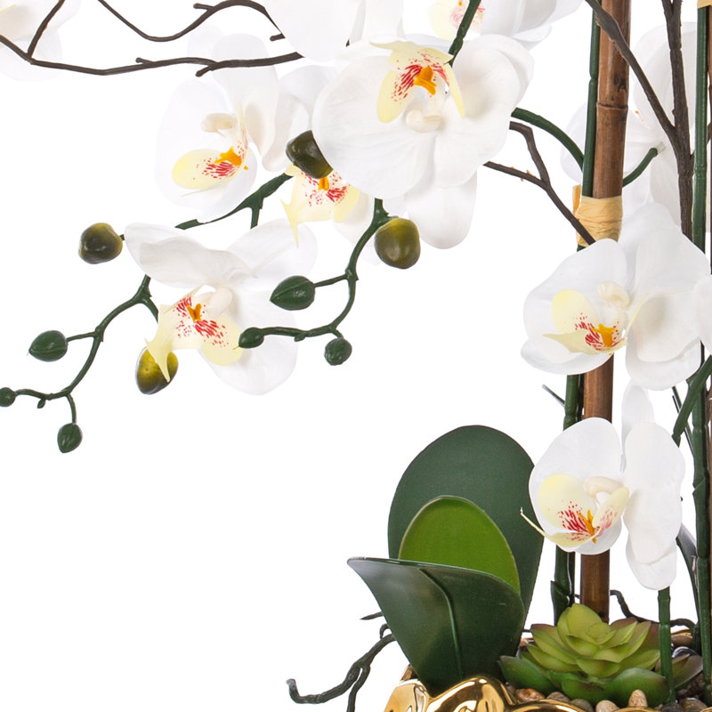 Arrangement floral orchidée phalaenopsis