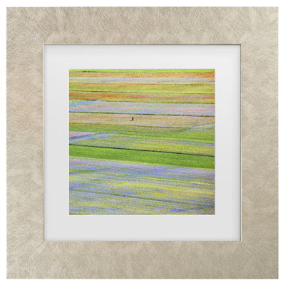 Œuvre encadrée «ologia bolognaise Massella Della Latta Castelluccio »