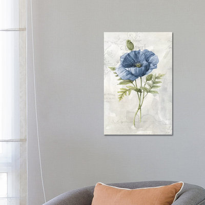 Blue Linen Poppy by Carol Robinson - Wrapped Canvas Print