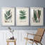 «Ferns IV», reproduction encadrée de qualité supérieure - prête à être accrochée-69879230-69879233