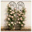 Ensemble de 2 treillis de jardin en métal, 220 cm (H) x 50 cm (L), support pour plantes grimpantes en fer antirouille avec motif paon, noir.