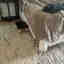 Customer photo 1 of 2