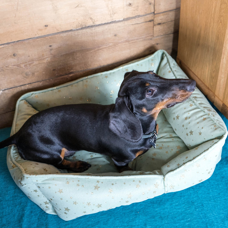 Norwood Polyester Pet Bed, 60cm H x 22cm W x 70cm D