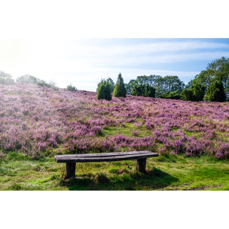 Lueneburg Heath - Wrapped Canvas Print, 30cm H x 46cm W x 3.8cm D
