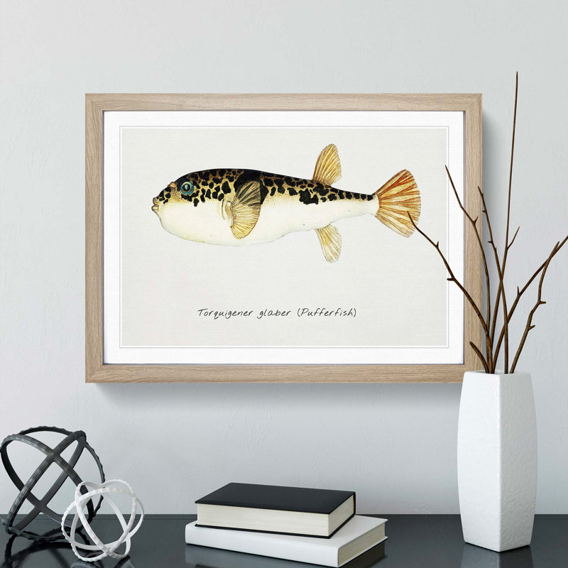 Illustration of a Pufferfish by F.E. Clarke - Picture Frame Graphic Art Print, 36cm H x 48cm W x 2cm D, Oak Framed