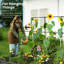 Metal Raised Garden Bed-381179118