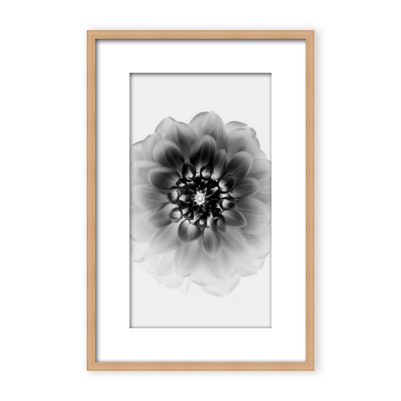 X-Ray Print by Alex Zhao, 36" H x 24" W x 1.125" D, Framed Matted Print, Gold