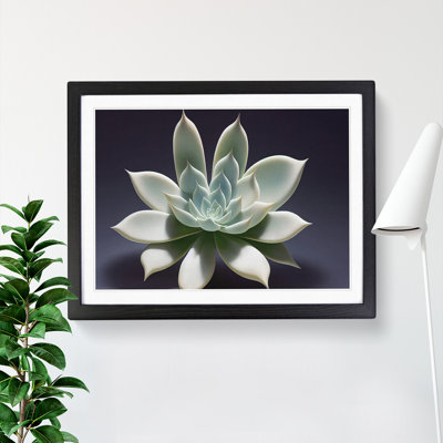 Exquisite Succulent Plant - Single Picture Frame Print