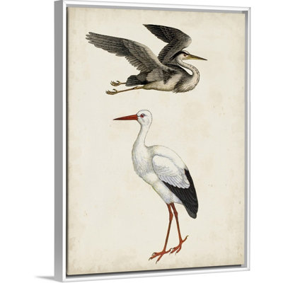 Animals Canvas Art