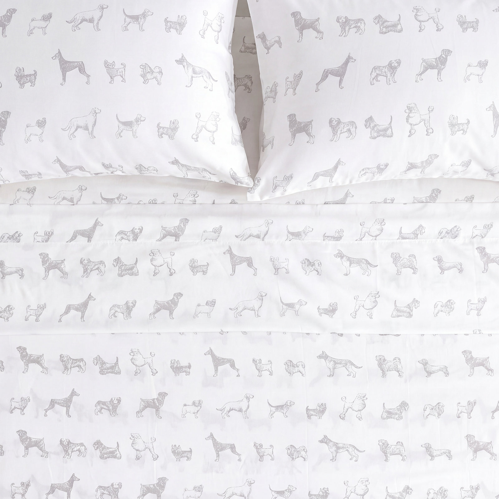 Auggie Cotton Sheet Set, Twin