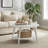 2 Tier Coffee Table With Storage-6598599