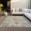 Machine Washable Indoor/Outdoor Oden ACN2163 Global Rug-13653065