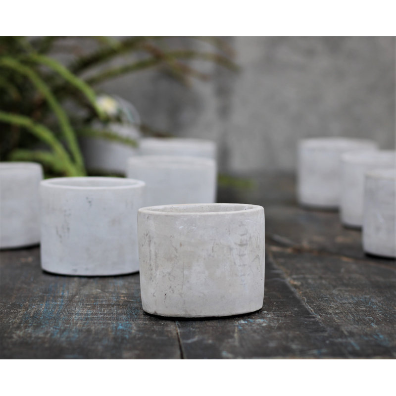 Mini-pots de fleurs cylindriques en béton (lot de 24) - Intérieur/Extérieur, 24
