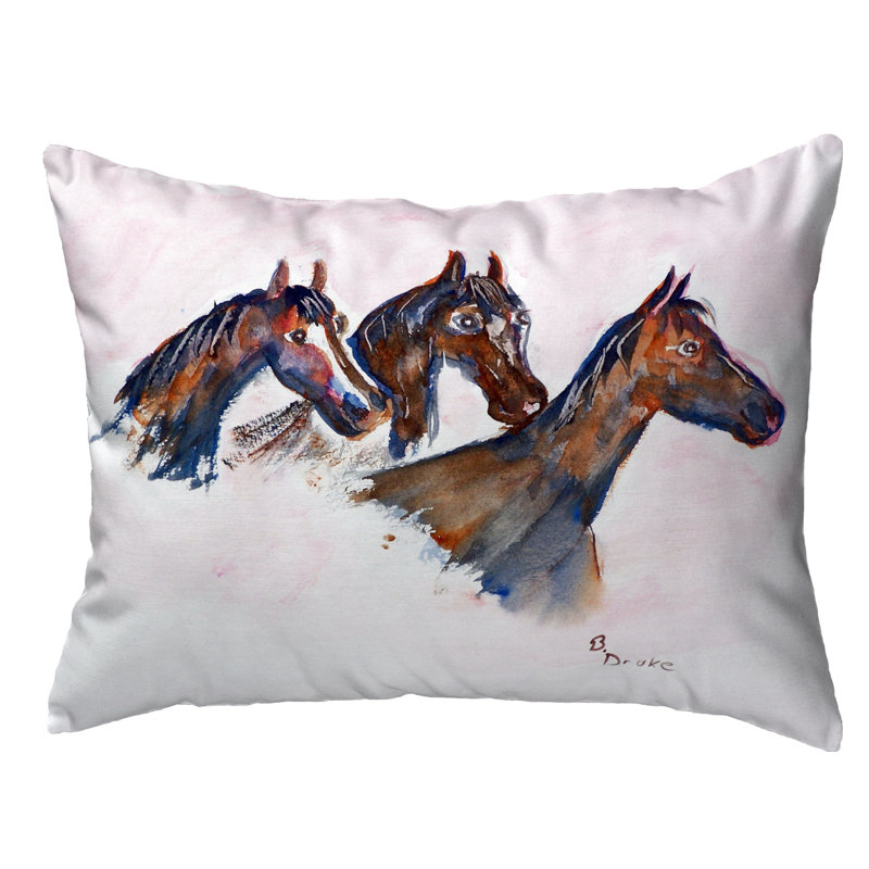  Housse et insert de coussin d'extérieur pour l'extérieur, 11 po x 14 po