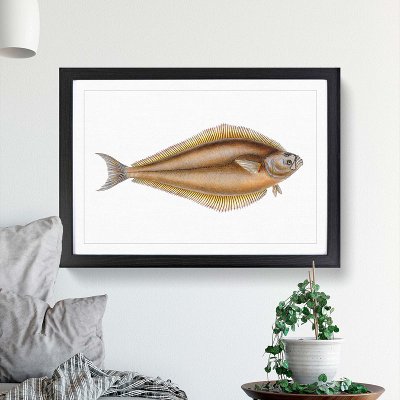 Atlantic Halibut Fish by Edward Donovan - Framed Print, 33cm H x 45cm W x 2cm D, Black Framed
