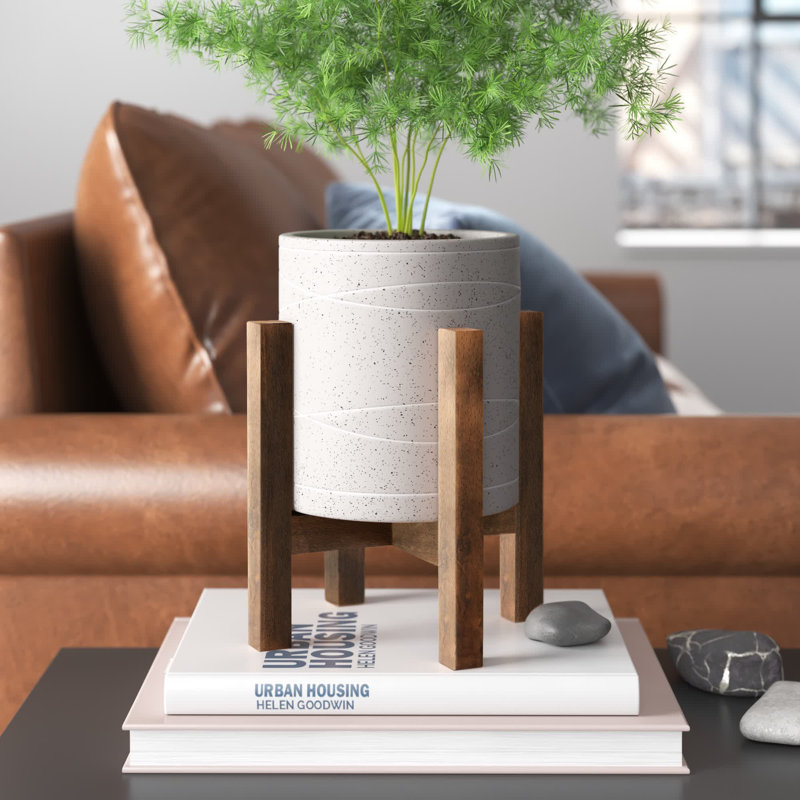 Jamillah Ceramic Pot Planter, Ivory/Walnut