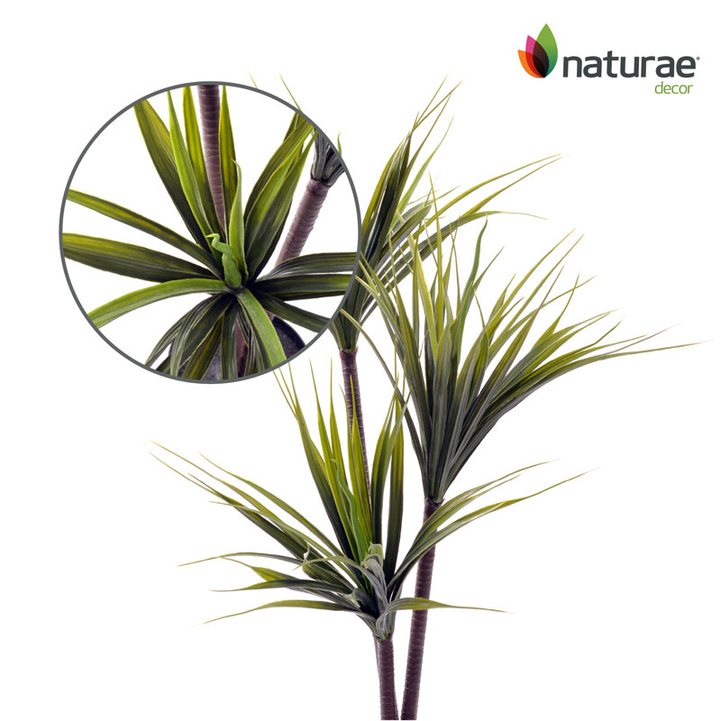 Artificiel Dracaena 55 po