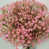 Rose sélectionné