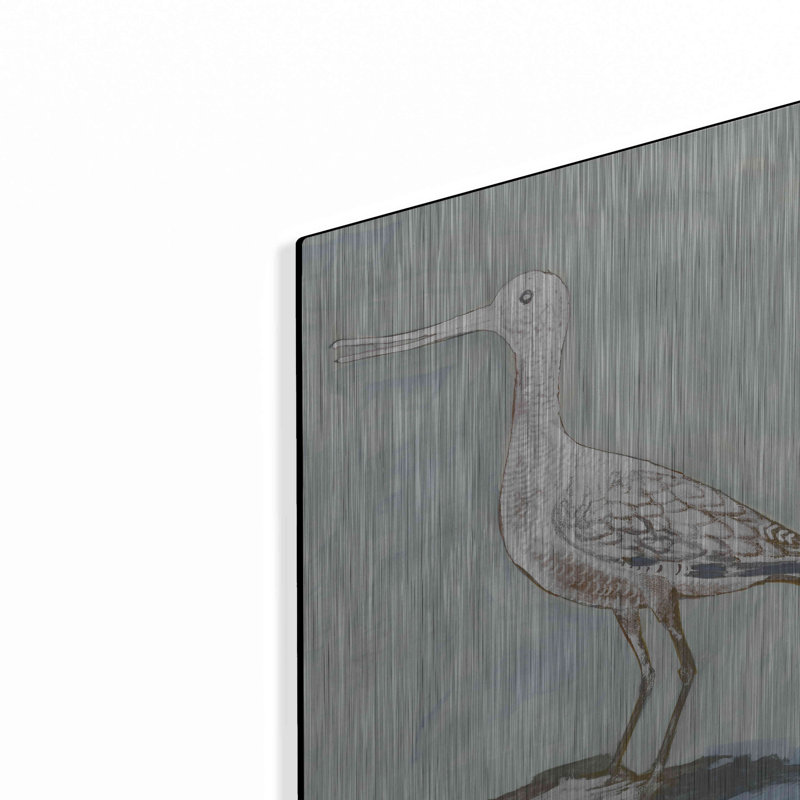 «Sea Bird 2» par Stellar Design Studio, H 16 po x l 12 po