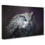 Blue Eyed Eurasian Eagle Owl in Abstract - Wrapped Canvas-55315192