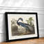 Louisiana Heron by John James Audubon - Framed Print-48228534-48228535
