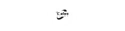 Logo Calwsy