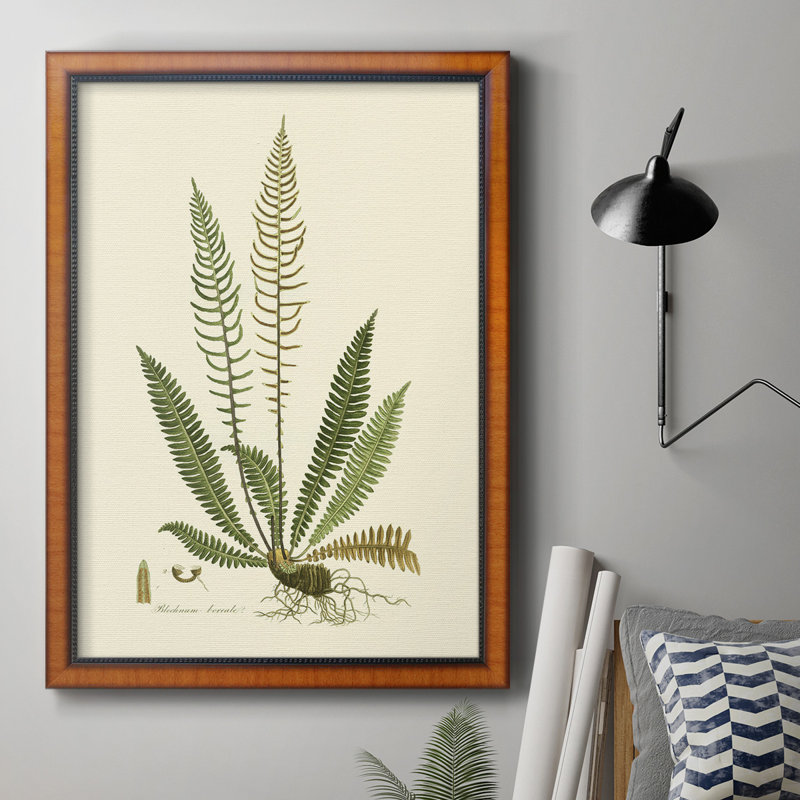 Toile encadrée de qualité supérieure Curtis Ferns III - prête à être accrochée, H 20 po x l 16 po x P 2,5 po