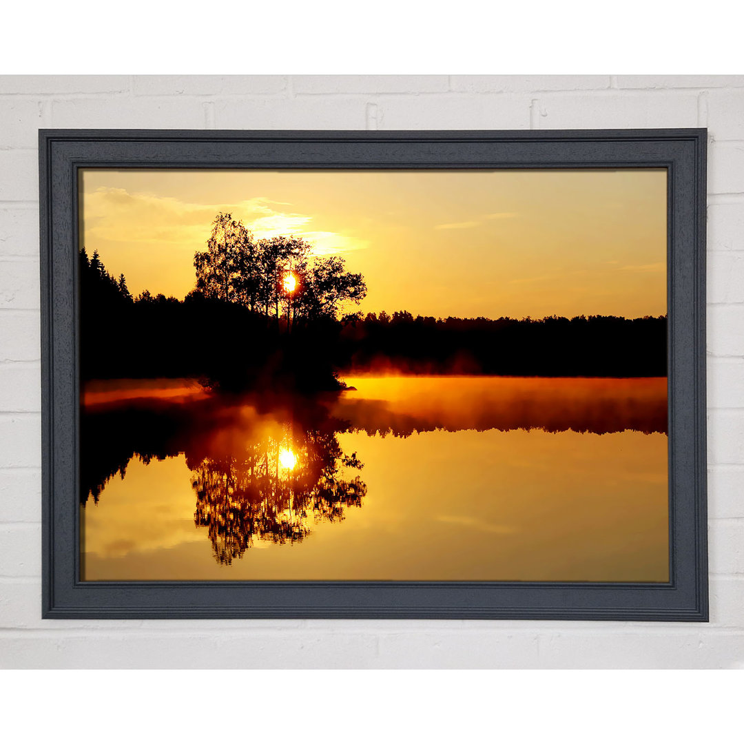 Reflections of the Sunset Tree - Einzelner Bilderrahmen Kunstdrucke