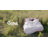 Organic 100% Cotton Jersey Knit Fitted Sheet-88284565-88284564