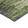 Machine Washable Indoor/Outdoor Xhevrie Green Rug