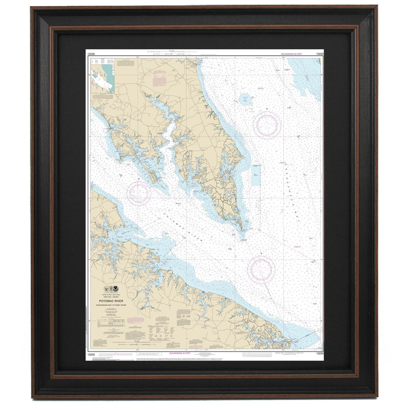 Chesapeake Bay; Potomac River To Piney Point | Nautical Chart | Framed Print, 36'' H x 27" W