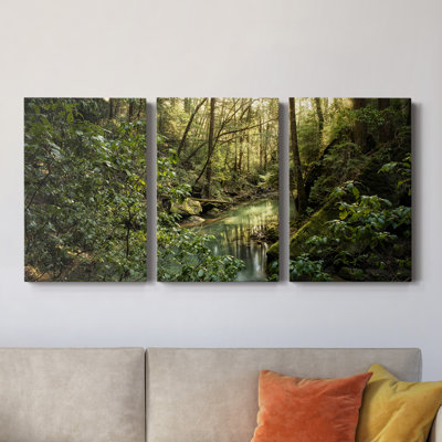 " Filtered Light II " 3 - Pieces