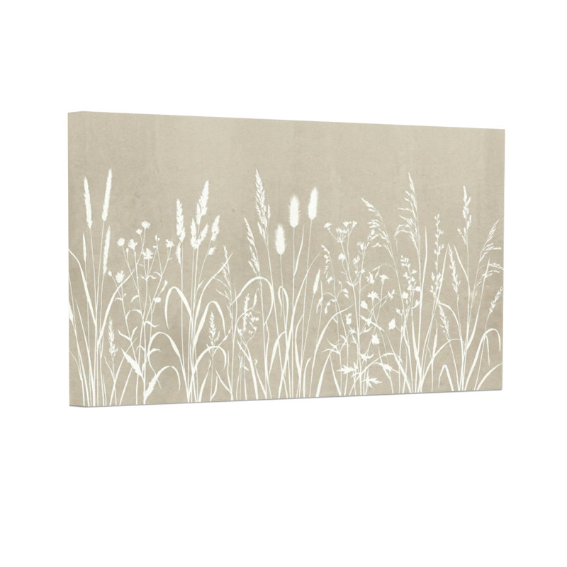Plantes et fleurs, herbe blanche et fleurs sur fond beige, H 20 po x l 30 po