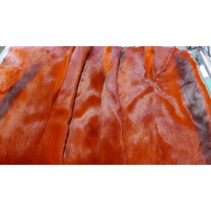 Burnt Orange Dyed Springbok Skin