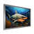 Silver Single Picture Framed