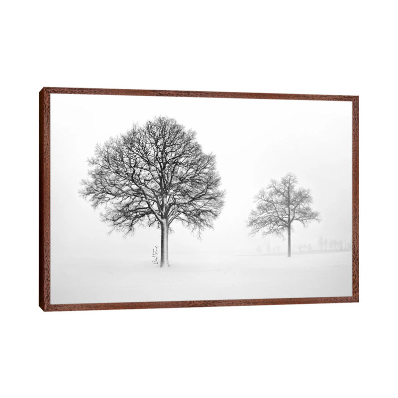 We Live And Die Together by Ben Heine - Print on Canvas, 66.04 cm H x 45.72 cm W, Brown Floater Framed