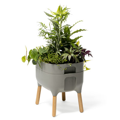 Jardin surélevé en plastique Karyah Growing