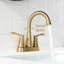 Centerset 2-handle Bathroom Faucet with Drain Assembly-48895513