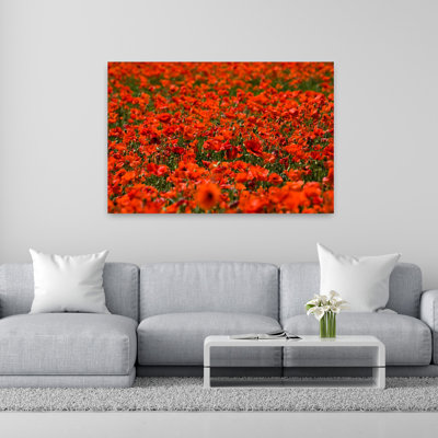 Des milliers de coquelicots dans un champ, Espagne, paisible, vibrant, coquelicot abstrait, paysage, art mural