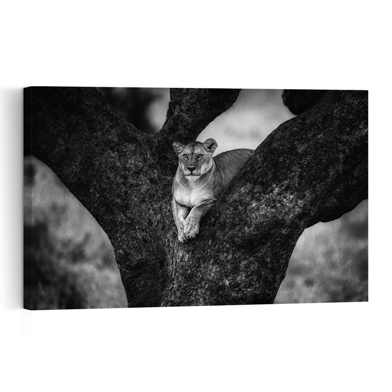 Majestic Lioness Perched Abstract Contemporary Landscape Nature Wall Art Print, 101.6cm H x 152.4cm W