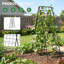 Ensemble de 2 treillis de concombre pliable à structure en A, support de plantes d'extérieur en acier enduit de PVC antirouille pour lits surélevés, haricots, tomates, plantes grimpantes-133408918-133408917