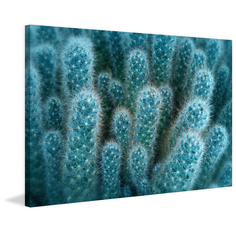 Wrapped Canvas Print, 51cm H x 76cm W