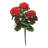 Geranium Arrangement